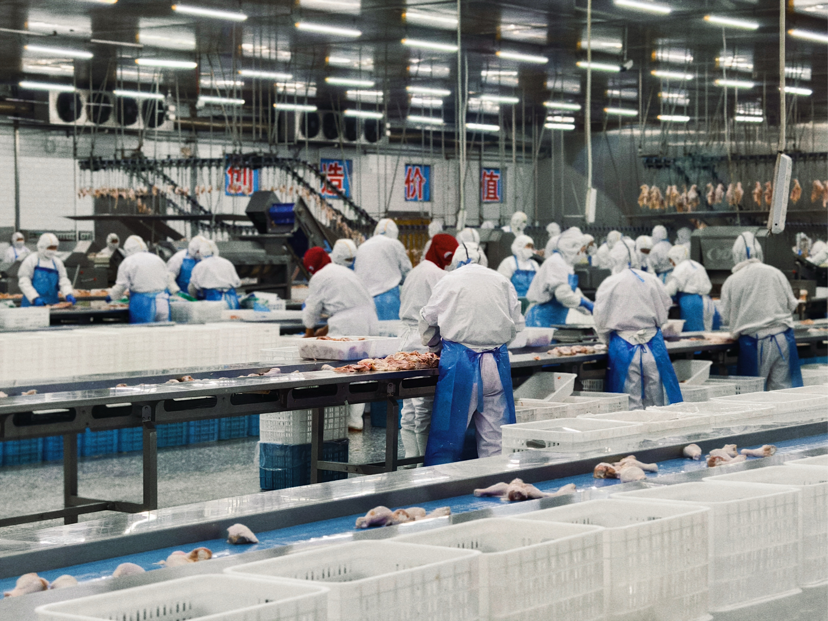 强力渔具厂(渔具企业排名)