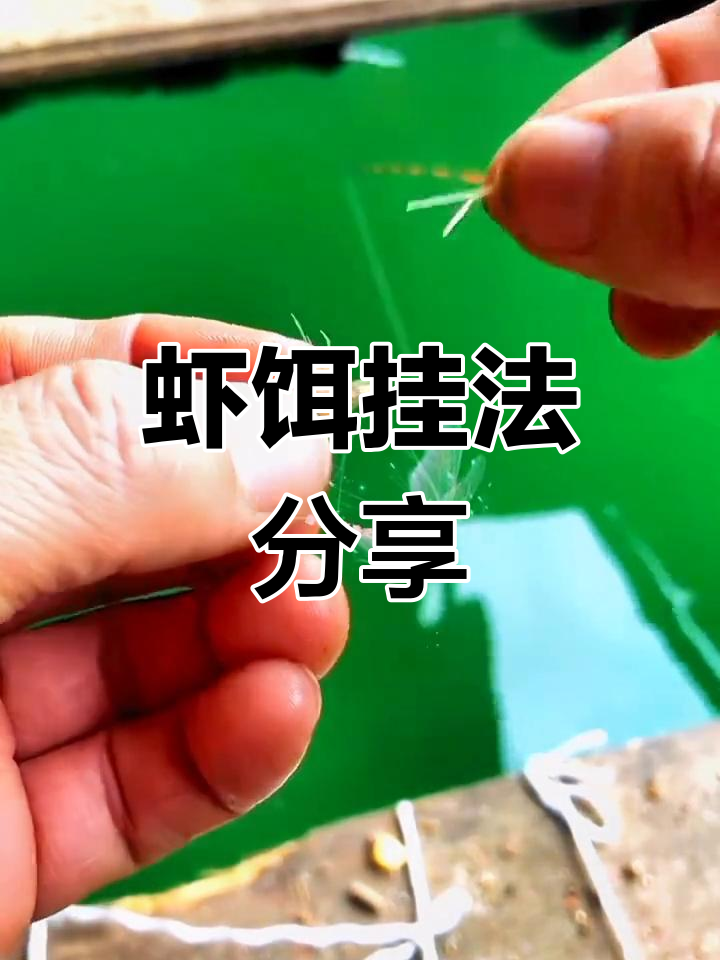 上饵料的技巧视频(如何上饵料钓鱼视频)