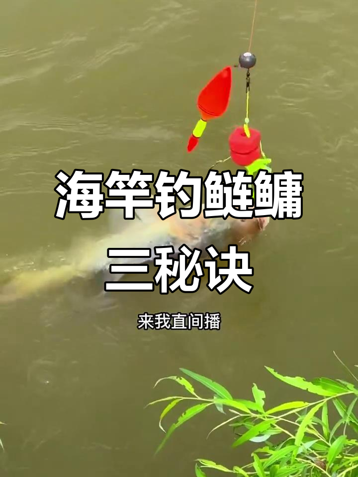 海杆怎样找钓底技巧(海杆怎样找钓底技巧和方法)