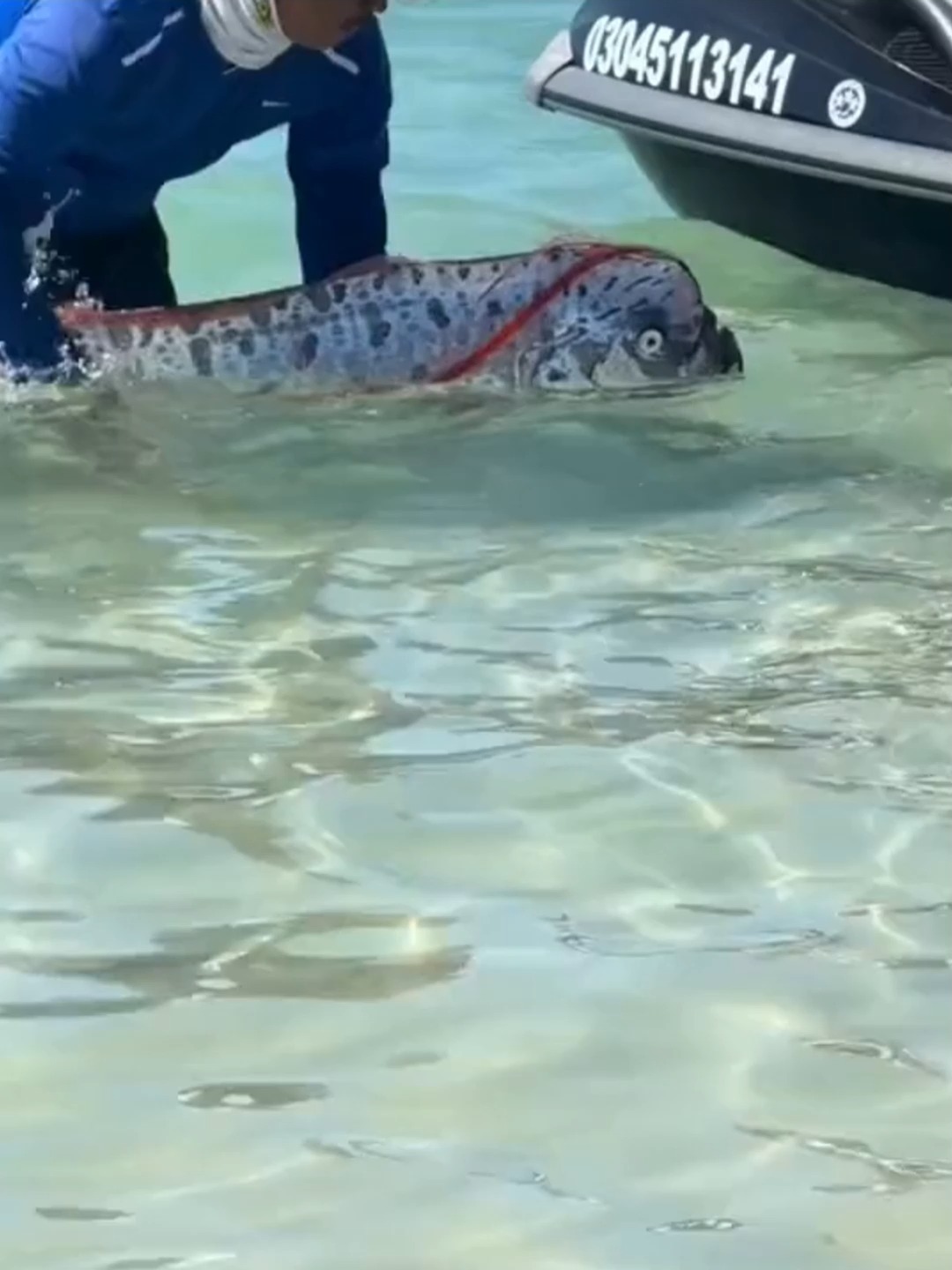 海钓水流急能钓到鱼吗(海钓水流急的地方怎么钓鱼)