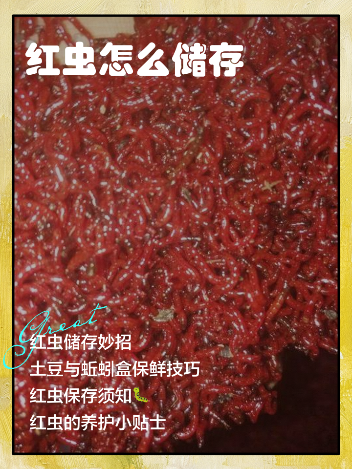 饵料可以拌红虫吗(红虫拌饵什么程度最好) 饵料可以拌红虫吗(红虫拌饵什么程度最好)