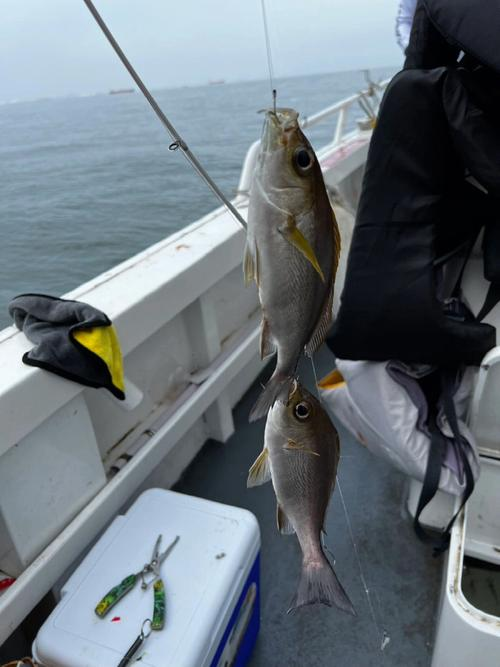 深圳海钓哪里多(深圳海钓最佳地点2020)