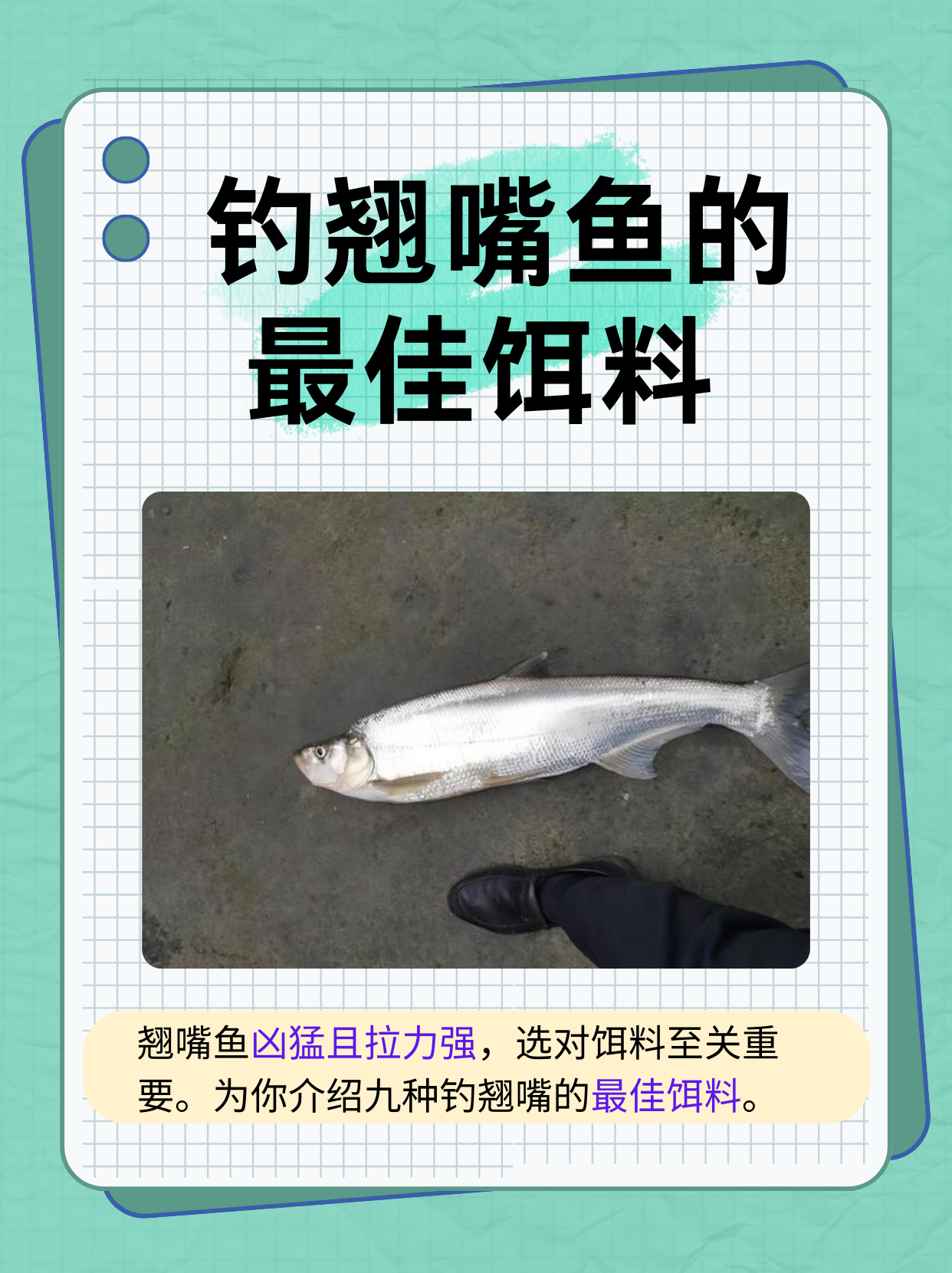 深秋筏钓翘嘴技巧(深秋钓翘嘴的五个技巧)