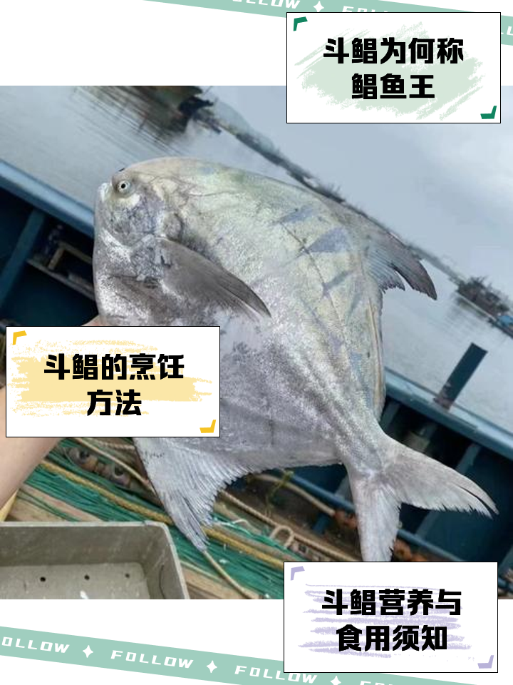 小浪底钓鲳鱼技巧(淡水鲳鱼的钓法与钓饵)