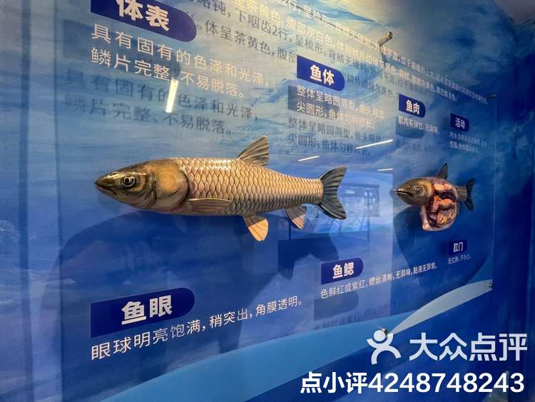 河北渔具展览(河北渔具批发厂家直销)