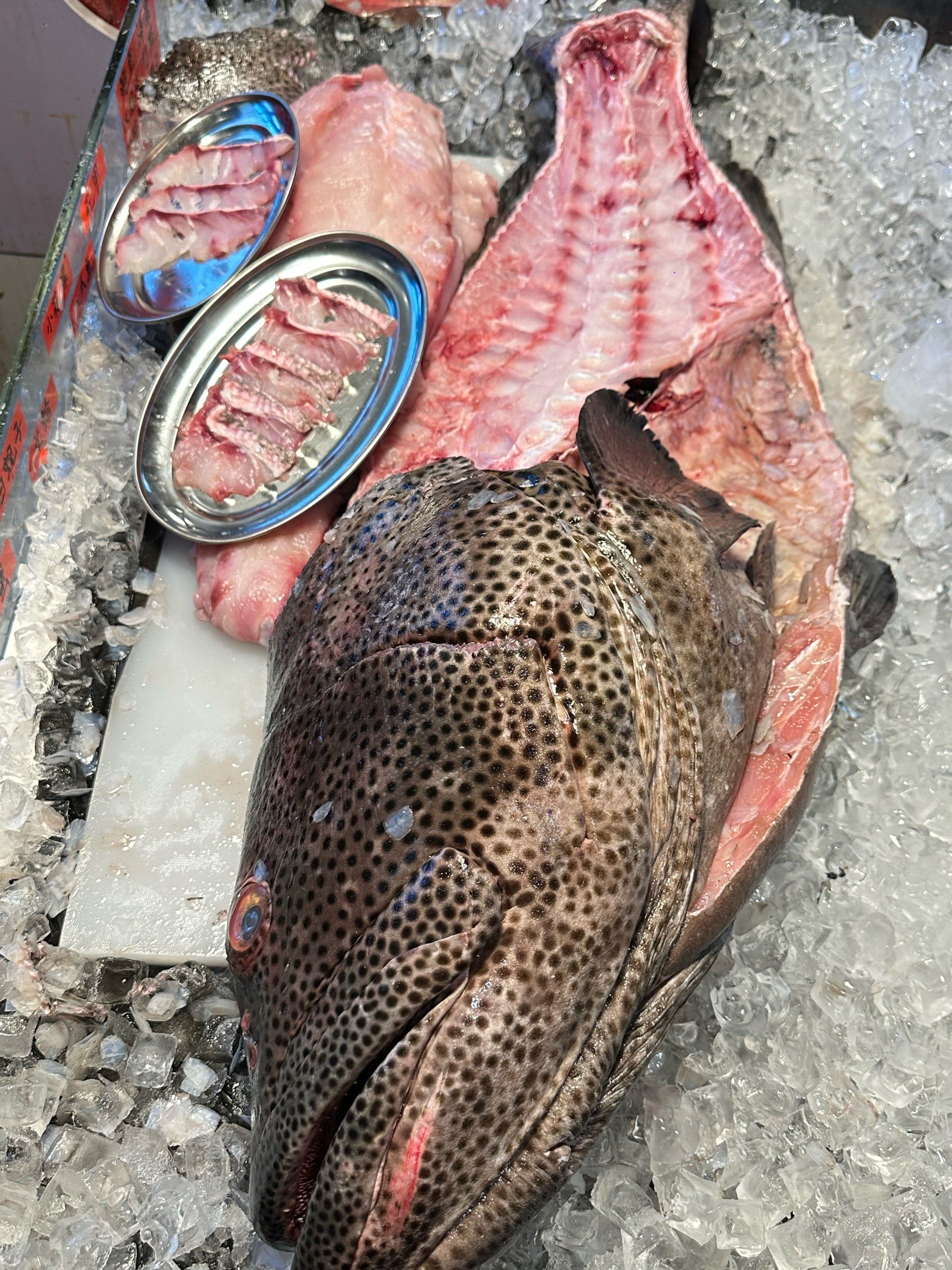 温州海钓鱼种(温州海钓鱼种分布)