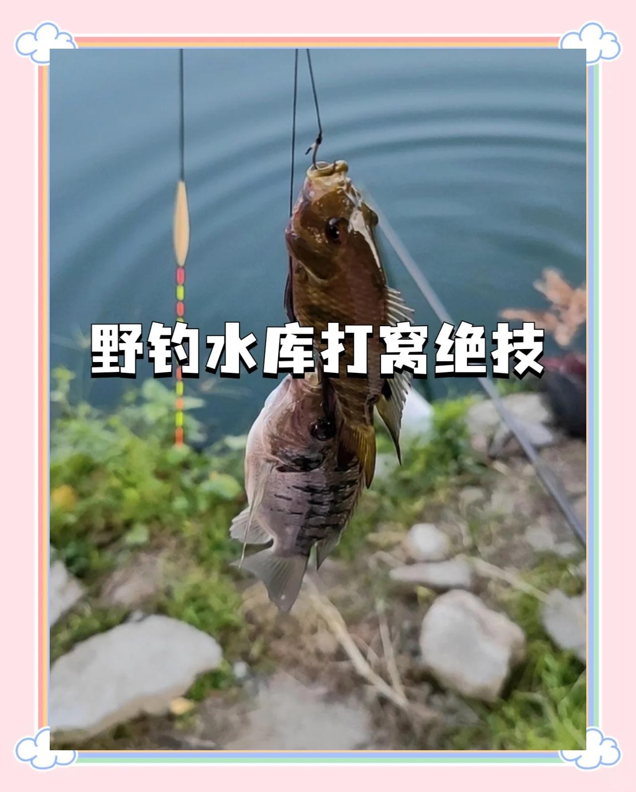 夏天在水库钓鱼技巧(夏天在水库钓鱼技巧和方法)