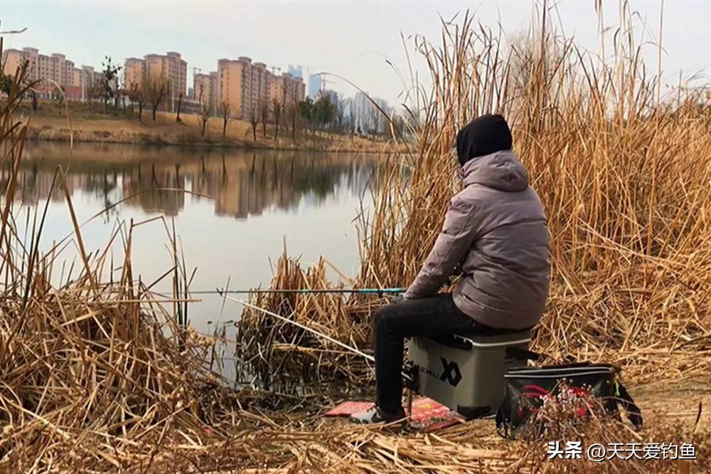 南方冬季钓鲫鱼的技巧(南方冬季钓鱼怎样选择钓位) 南方冬季钓鲫鱼的技巧(南方冬季钓鱼怎样选择钓位)