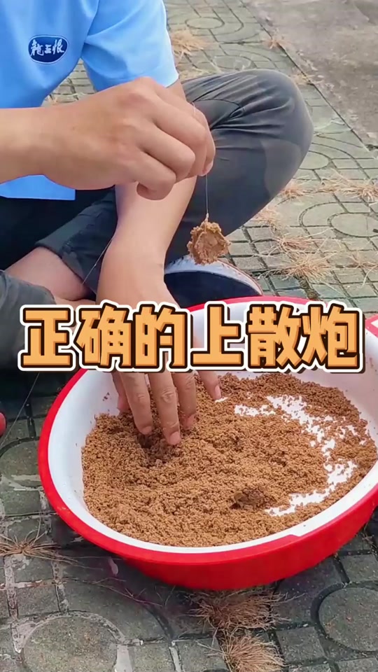 如何自制散炮饵料(自制散炮饵的配制材料) 如何自制散炮饵料(自制散炮饵的配制材料)