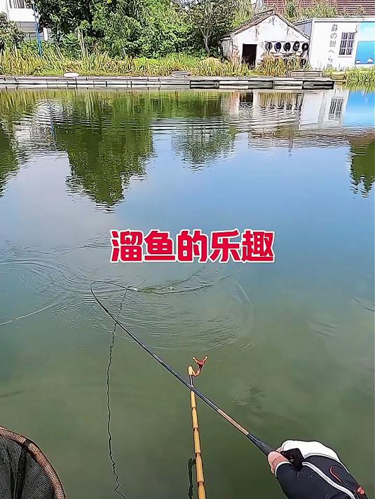 溜鱼8字技巧(八字溜鱼视频教程) 溜鱼8字技巧(八字溜鱼视频教程)