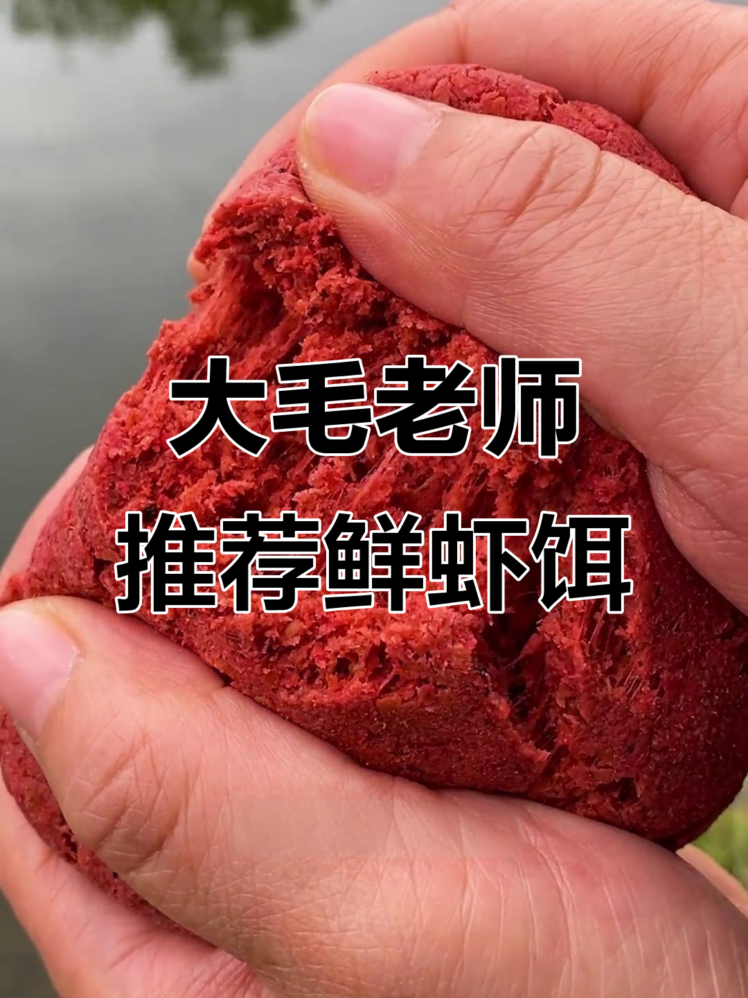 虾肉加饵料里(钓虾用虾肉做饵料好吗?) 虾肉加饵料里(钓虾用虾肉做饵料好吗?)