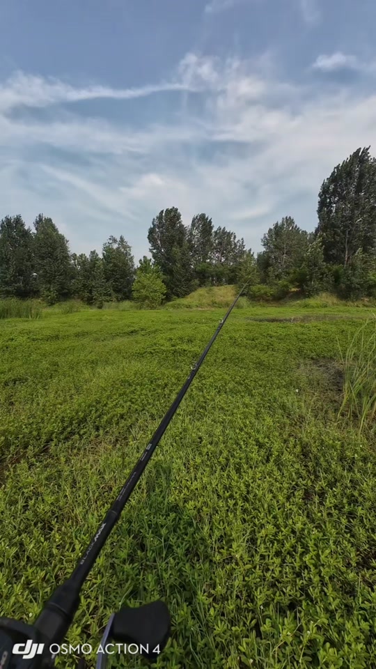 绥中海钓黑头技巧(海钓黑头鱼图片大全) 绥中海钓黑头技巧(海钓黑头鱼图片大全)