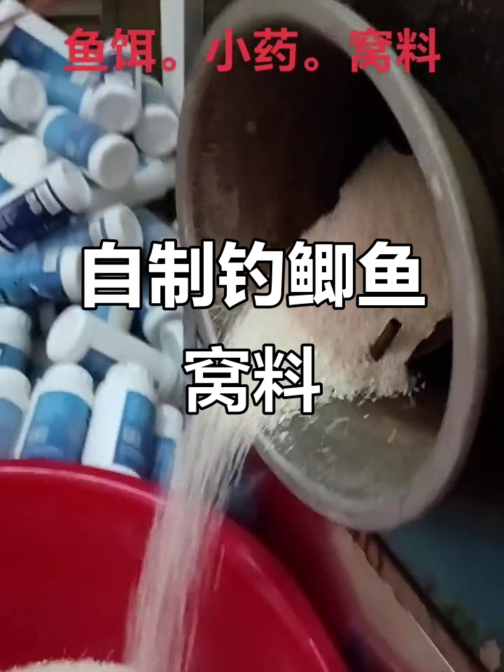自制海竿饵料(自制海竿饵料视频)