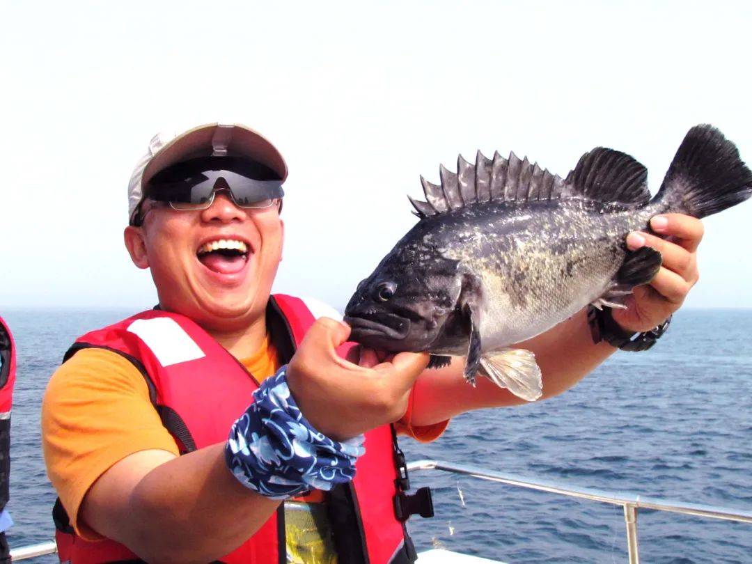 渤海海钓鱼类(渤海钓鱼哪里好) 渤海海钓鱼类(渤海钓鱼哪里好)