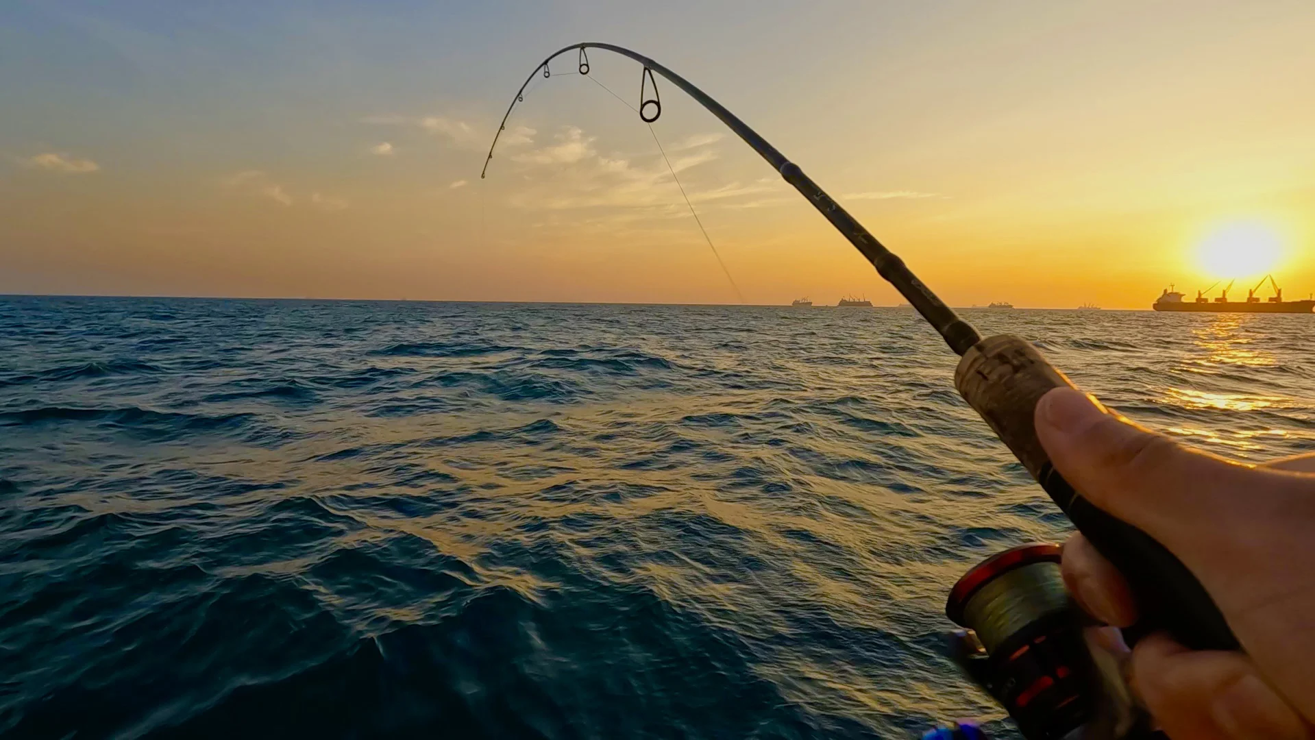 美国海钓比赛(美国海钓鱼竿品牌排行榜)