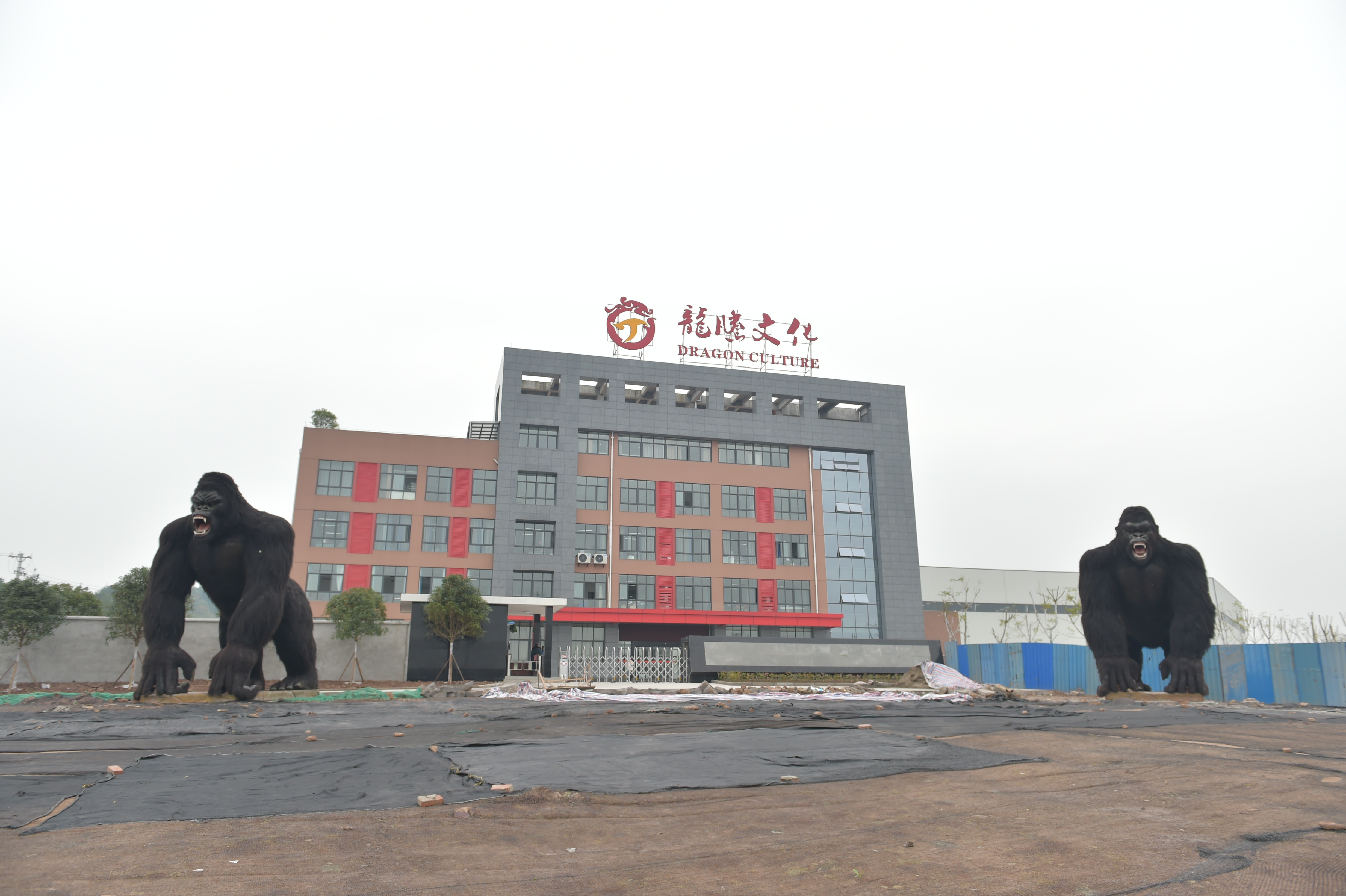 龙腾渔具公司(龙腾渔具公司是在威海吗,生产质量好吗)