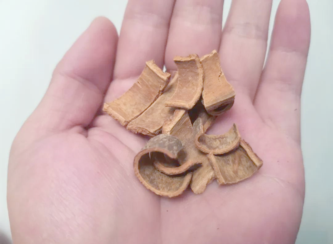 冬天钓鲤饵料(冬天钓鲤鱼饵料配方及饵料搭配技巧)