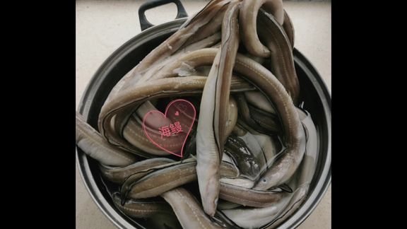 厦门海钓鳗鱼地点(厦门海钓鳗鱼地点有哪些) 厦门海钓鳗鱼地点(厦门海钓鳗鱼地点有哪些)