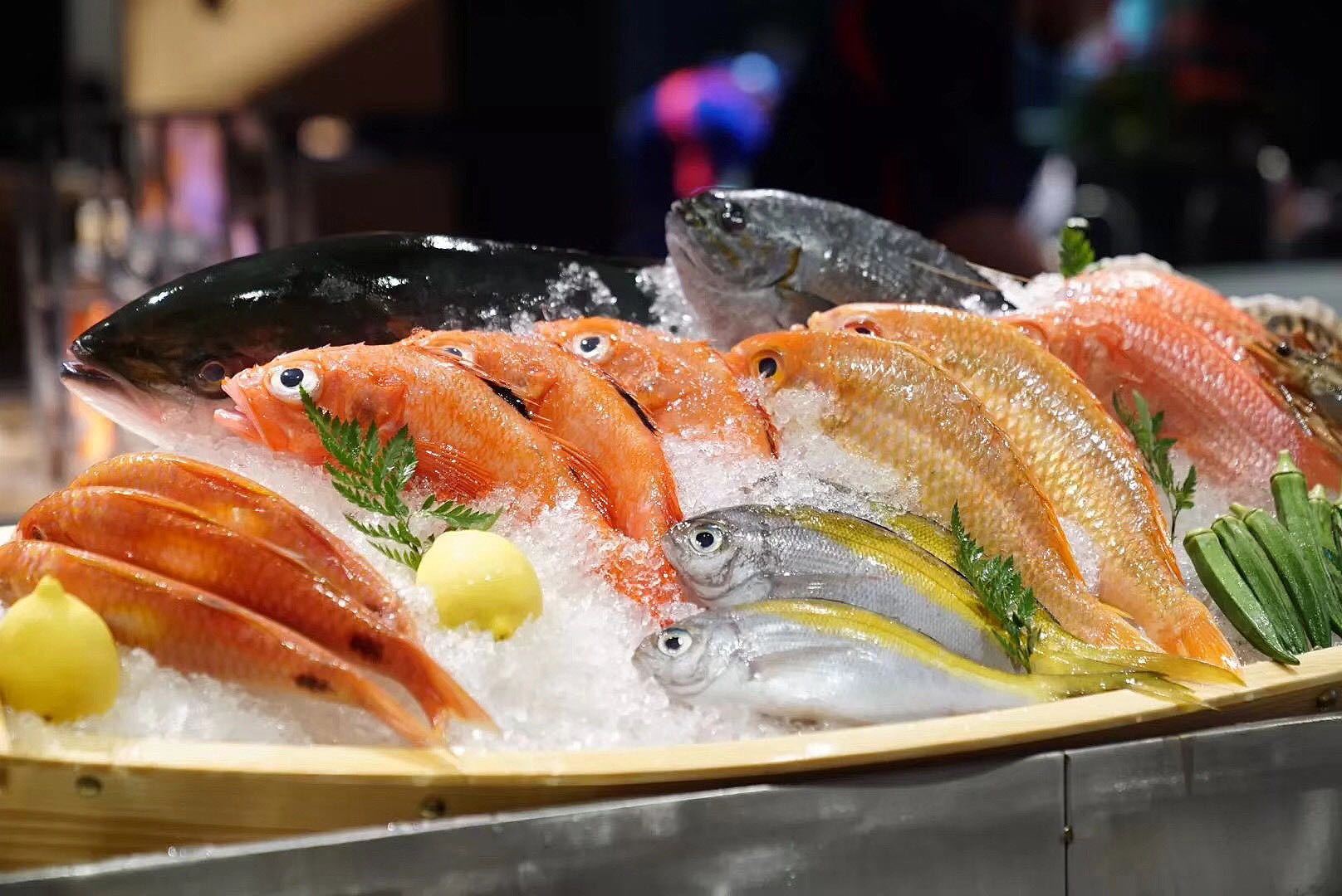 4海钓鱼在线(海钓视频在线观看) 4海钓鱼在线(海钓视频在线观看)