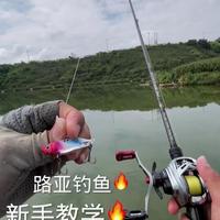 路亚放线视频(路亚装线视频教程)