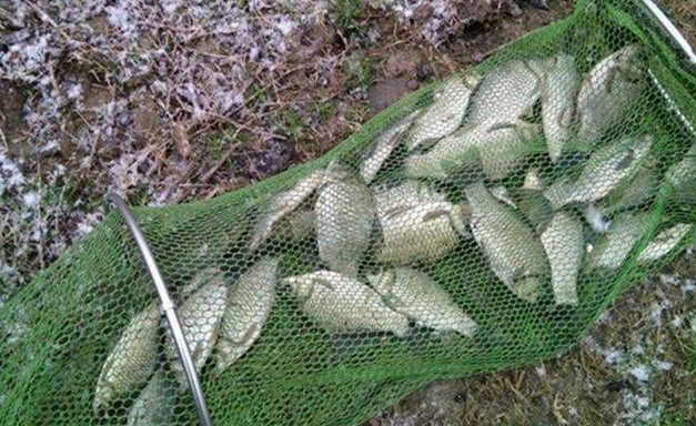 徐州冬季野钓鲫鱼技巧(徐州钓鱼的地方有哪些免费) 徐州冬季野钓鲫鱼技巧(徐州钓鱼的地方有哪些免费)