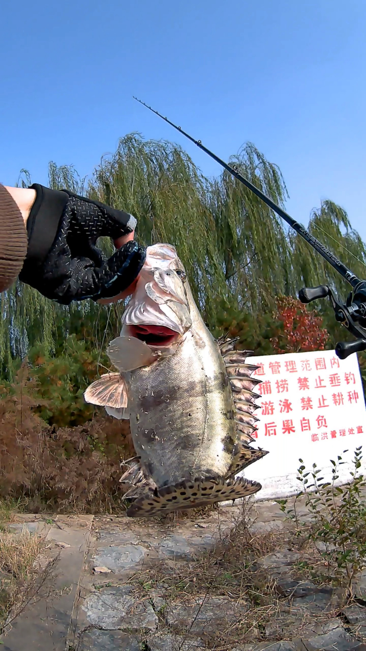 冬天路亚江钓(冬天路亚钓鱼视频) 冬天路亚江钓(冬天路亚钓鱼视频)