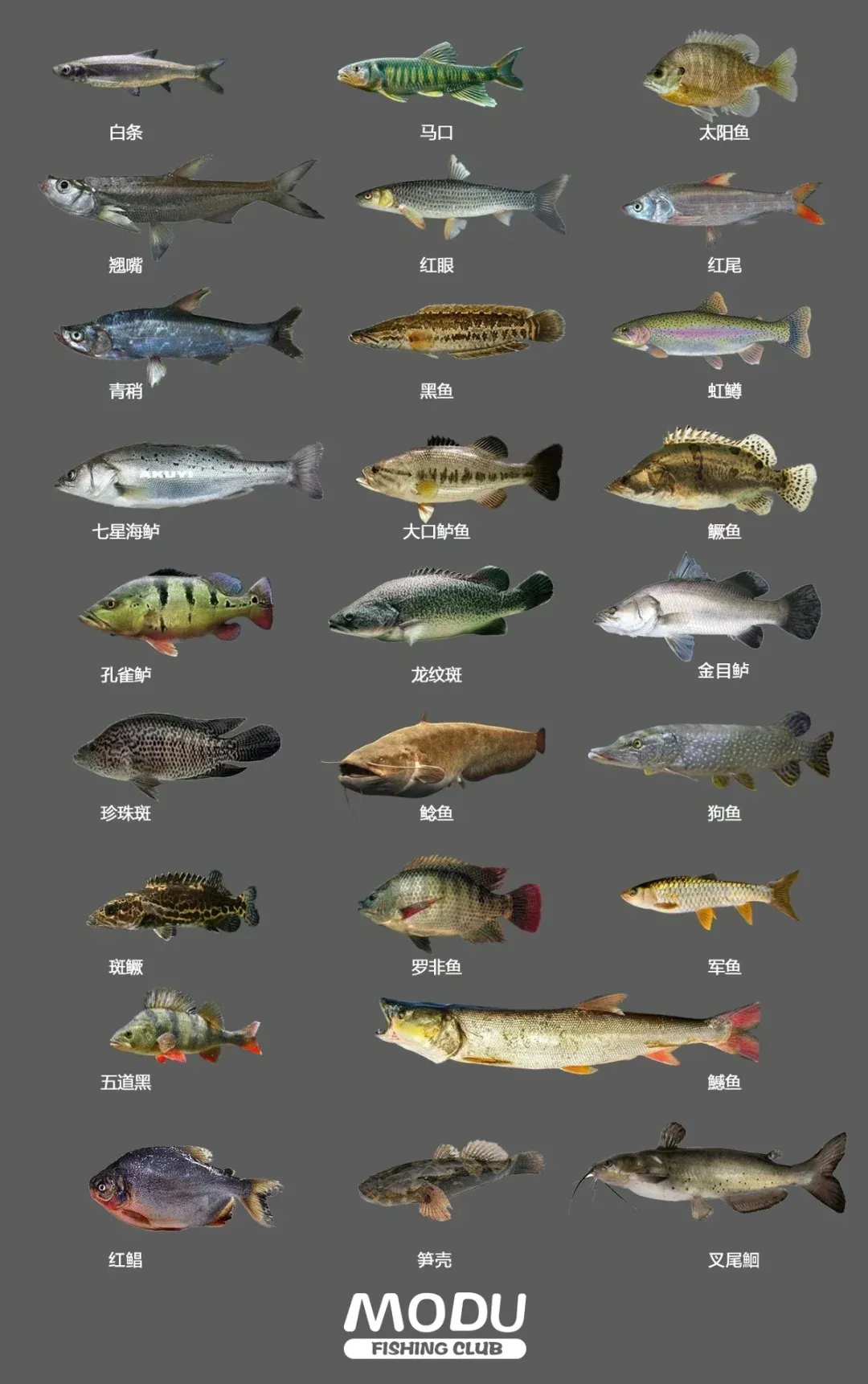 路亚那些水域(路亚在什么水域可以玩)