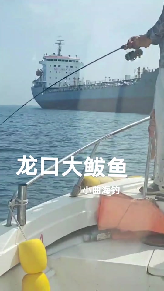 龙口免费海钓地点(龙口海钓可以钓什么鱼)