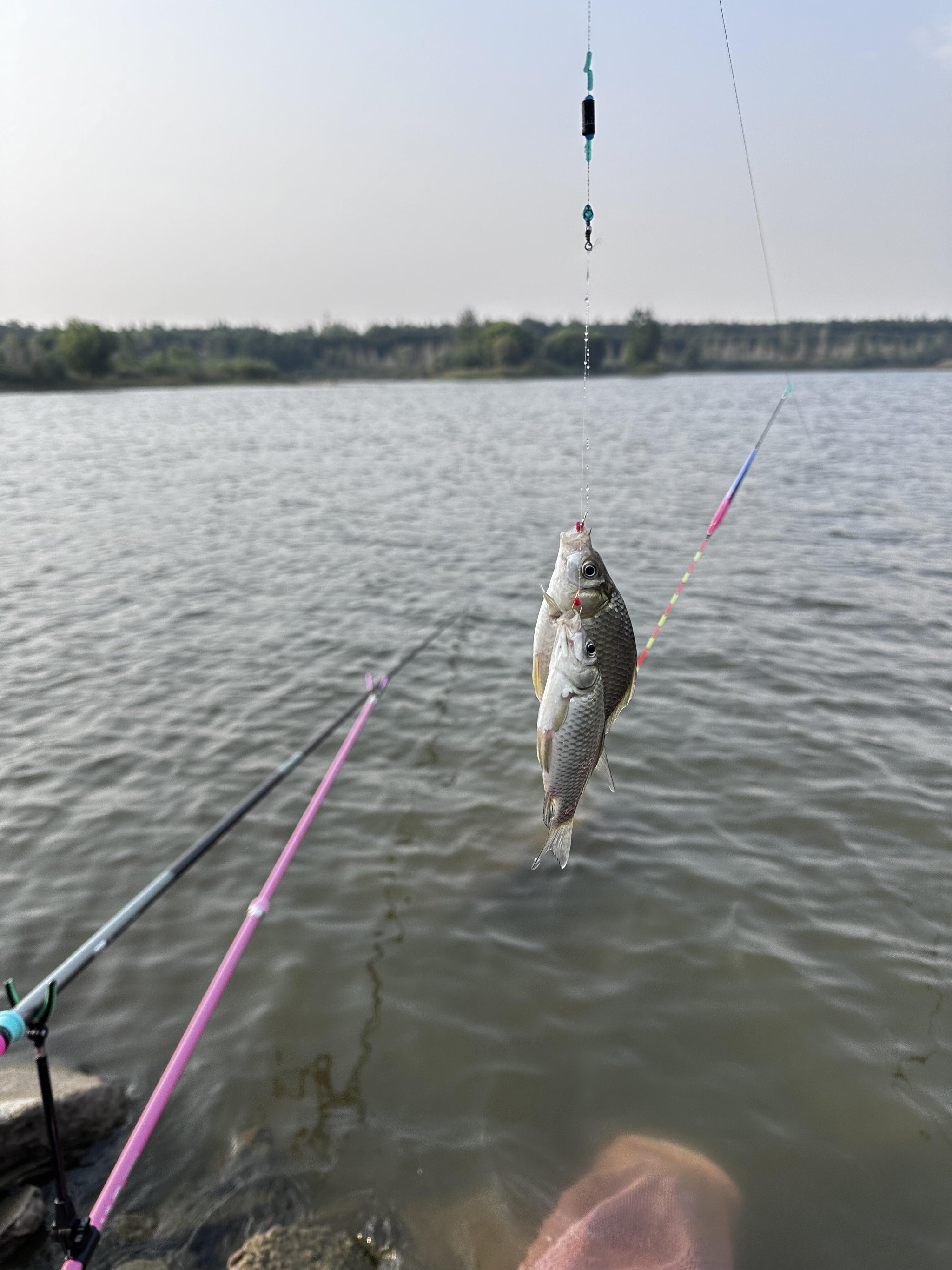 秋天路亚钓草鱼(秋天路亚钓草鱼好钓吗)