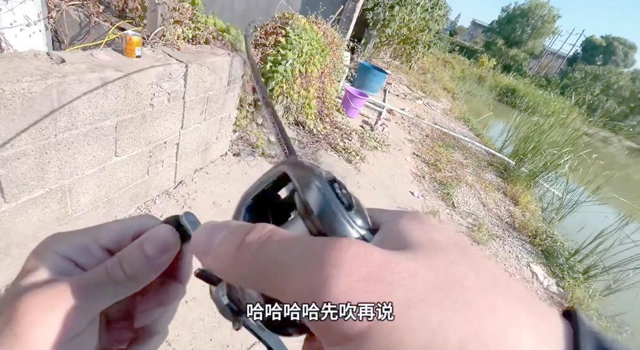 如何海钓鲳鱼(海钓鲳鱼用什么鱼饵好钓)