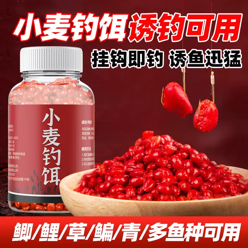 麦子饵料做法大全(怎么用麦子做野钓鲫鱼饵料?)