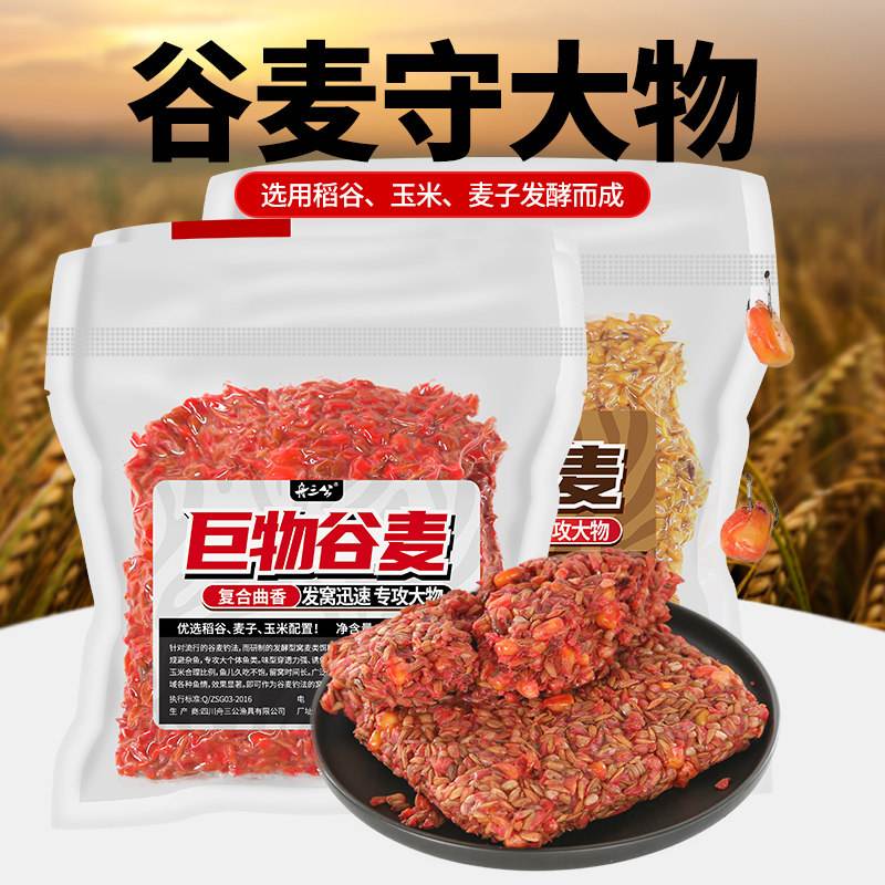 麦子饵料做法大全(怎么用麦子做野钓鲫鱼饵料?)