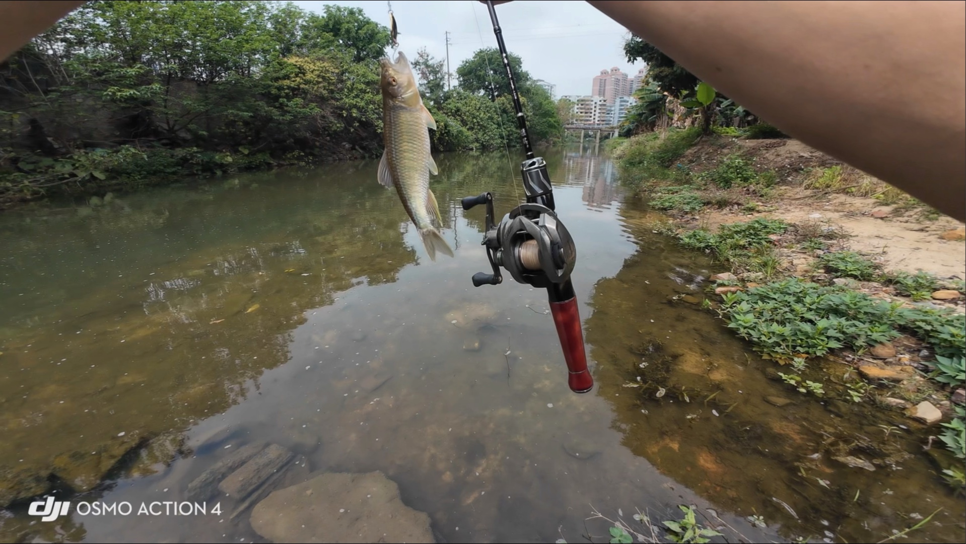 广州附近路亚(广州路亚野钓点) 广州附近路亚(广州路亚野钓点)