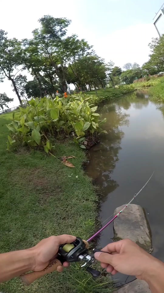 广州附近路亚(广州路亚野钓点) 广州附近路亚(广州路亚野钓点)