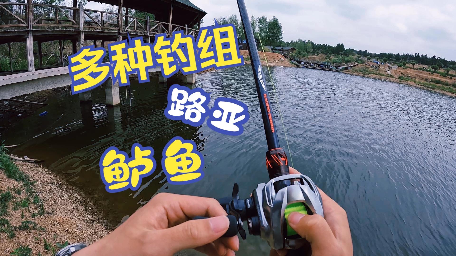 海鲈鱼路亚钓组(钓海鲈鱼路亚钓组) 海鲈鱼路亚钓组(钓海鲈鱼路亚钓组)