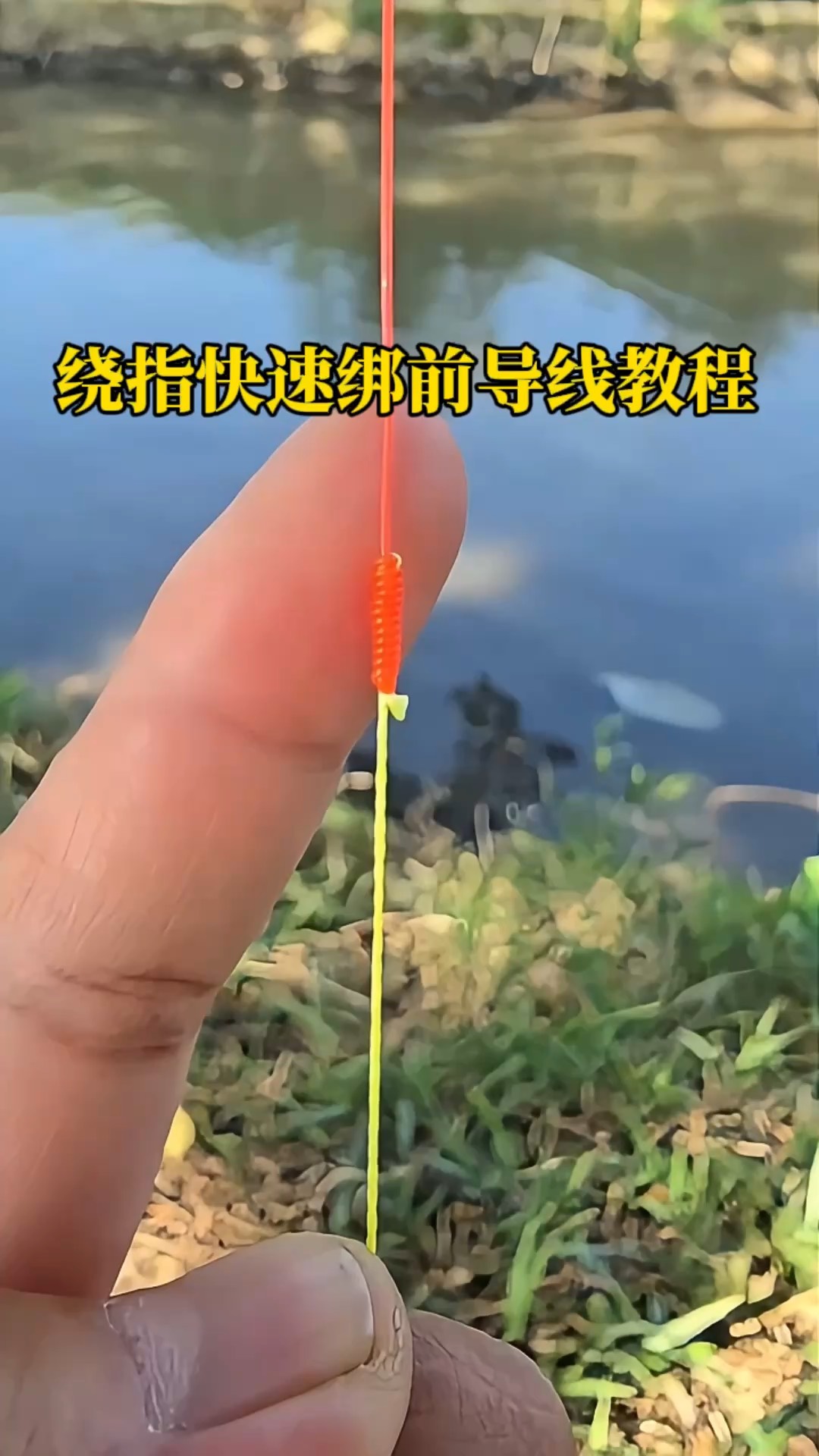 快速绑路亚(路亚快速绑饵方法) 快速绑路亚(路亚快速绑饵方法)