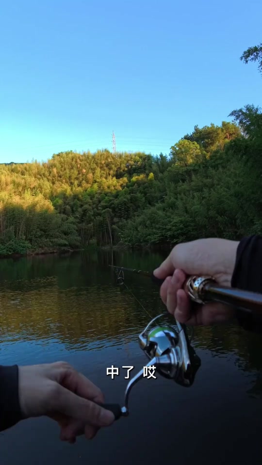 ewe路亚竿(evolution路亚竿) ewe路亚竿(evolution路亚竿)