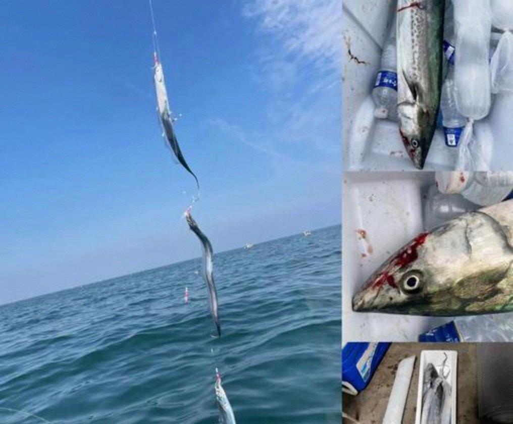 福州海钓地点(福州海钓鱼体验餐厅)