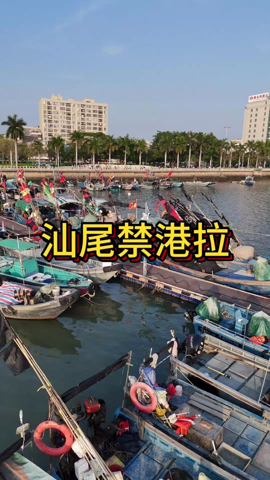 汕尾近海钓鱼(汕尾近海钓鱼地点) 汕尾近海钓鱼(汕尾近海钓鱼地点)