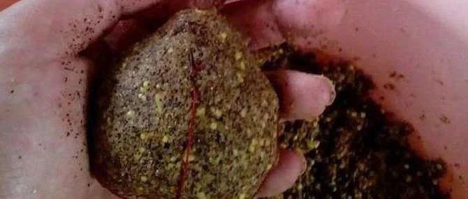 爆炸钩技巧钓大鱼(爆炸钩你做的对吗?国家特级垂钓大师手把手教你) 爆炸钩技巧钓大鱼(爆炸钩你做的对吗?国家特级垂钓大师手把手教你)