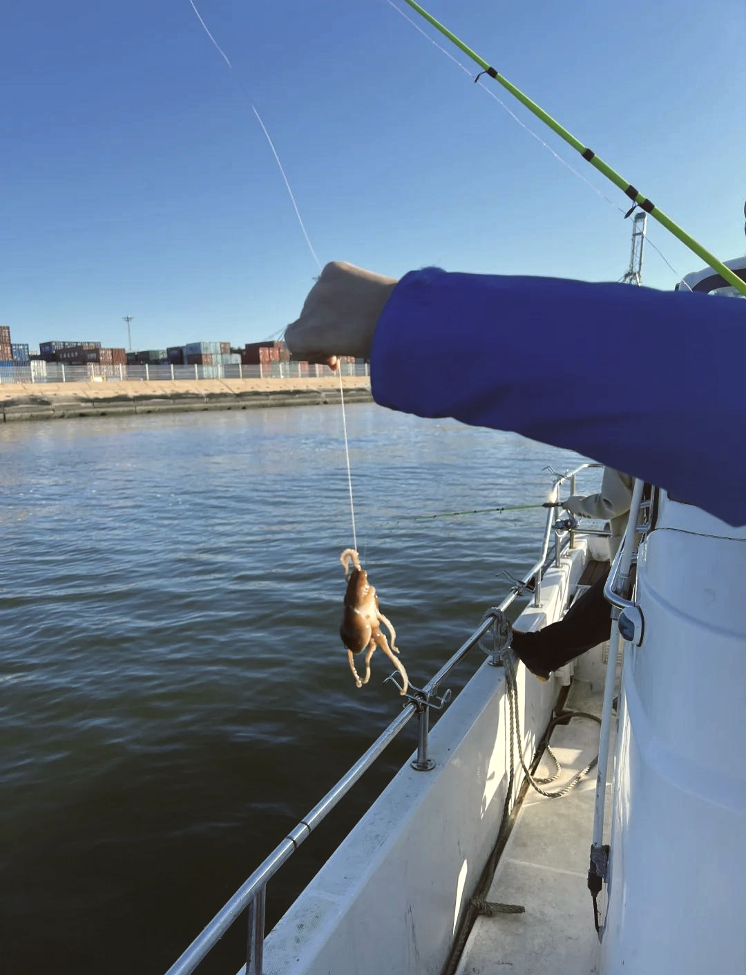 洋河口海钓(海钓最佳鱼口时间) 洋河口海钓(海钓最佳鱼口时间)