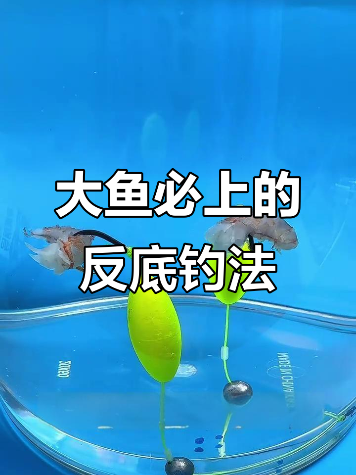 臭底黑坑技巧(臭底的黑坑怎么钓)