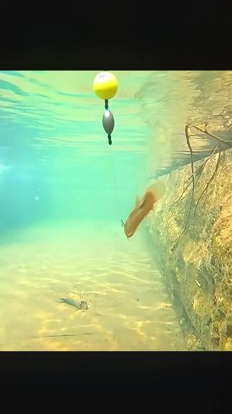 乐从路亚钓(路亚新手入门必买清单) 乐从路亚钓(路亚新手入门必买清单)