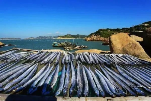南麂本岛海钓(南麂岛上可以抓海鲜吗) 南麂本岛海钓(南麂岛上可以抓海鲜吗)