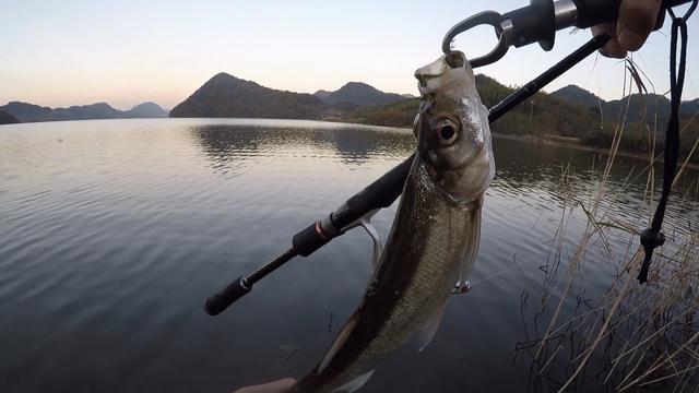 路亚晚上(路亚晚上钓什么水层) 路亚晚上(路亚晚上钓什么水层)