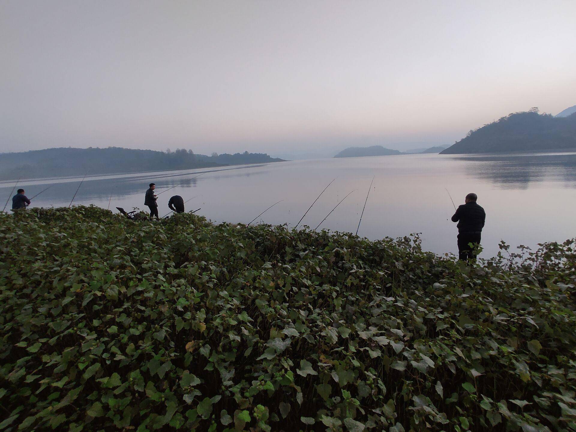 黄河边钓鱼技巧视频教学(黄河边钓鱼技巧视频教学全集) 黄河边钓鱼技巧视频教学(黄河边钓鱼技巧视频教学全集)