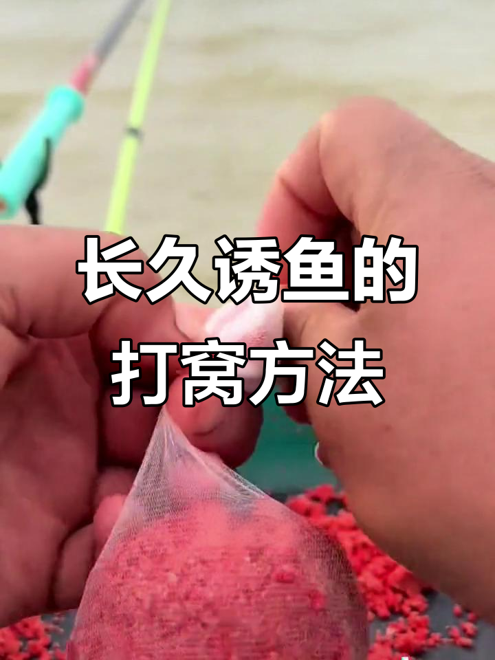 冬钓鱼打窝技巧(冬天传统钓打窝经验)