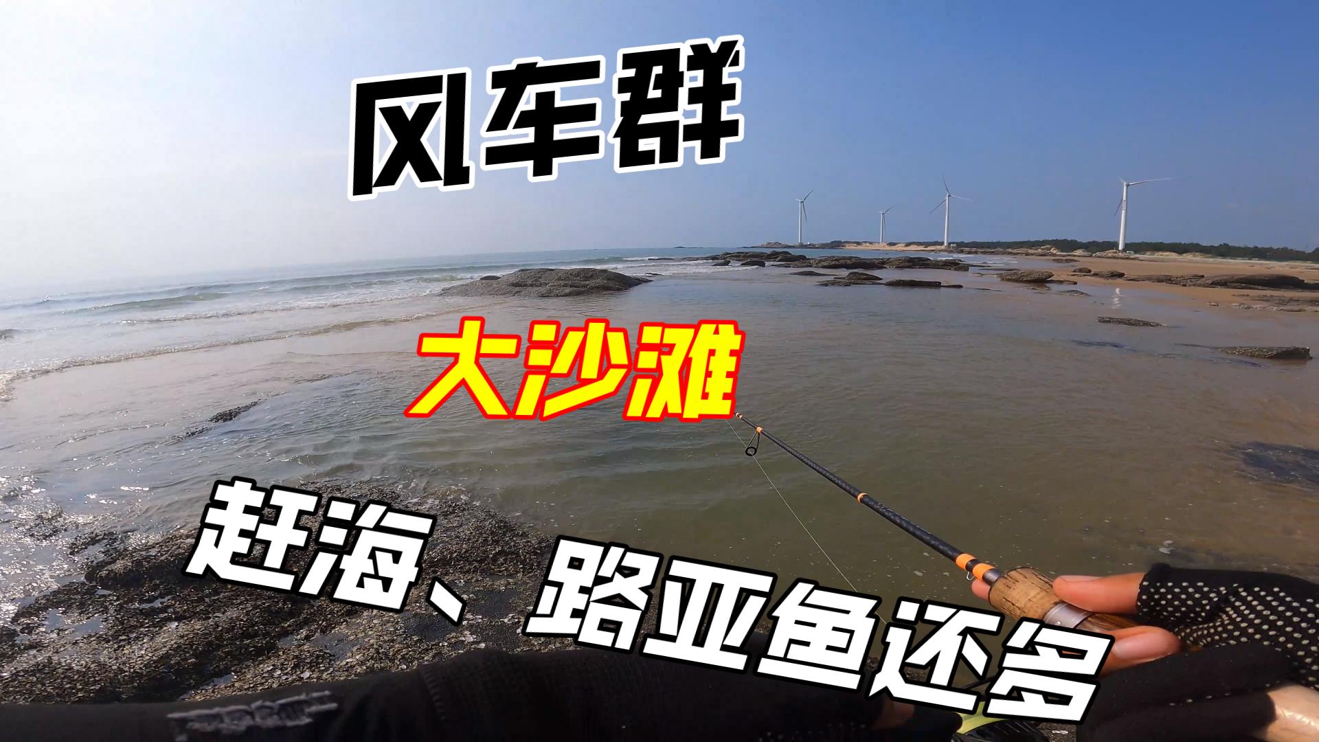 沙滩打路亚(沙滩路亚钓能钓到鱼吗)