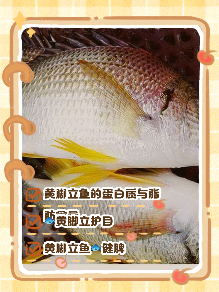 黄脚立饵料(黄脚立吃饵视频)