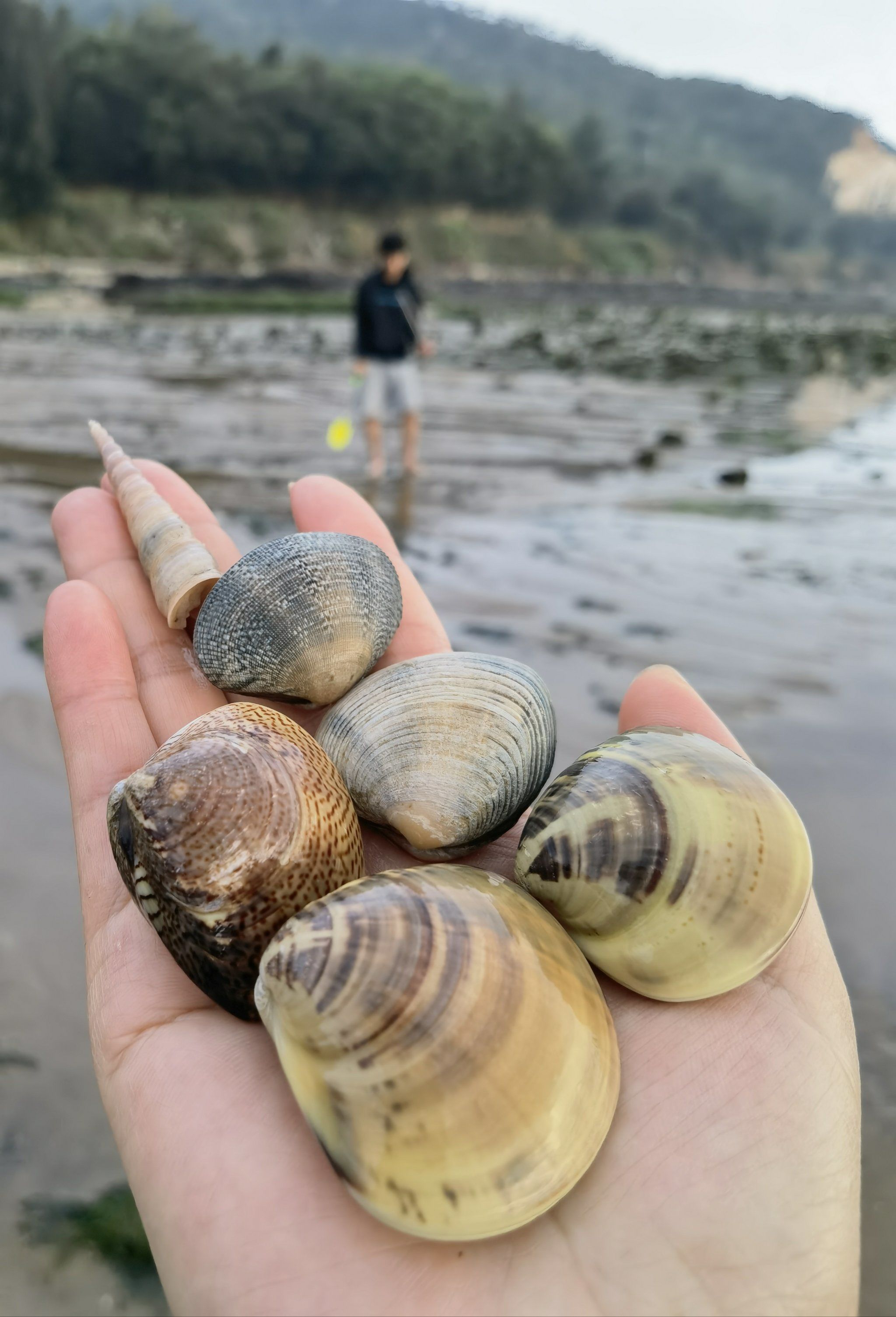 南澳岛海钓(南澳岛海钓视频) 南澳岛海钓(南澳岛海钓视频)